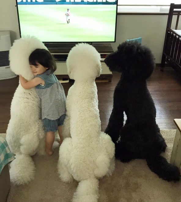 Ԃ̍猢ƂƂɉ߂ĂoE܂߂ƒEށ[ނ