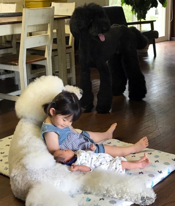 Ԃ̍猢ƂƂɉ߂ĂoE܂߂ƒEށ[ނ