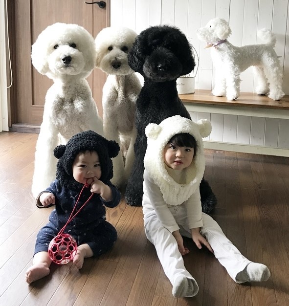 Ԃ̍猢ƂƂɉ߂ĂoE܂߂ƒEށ[ނ