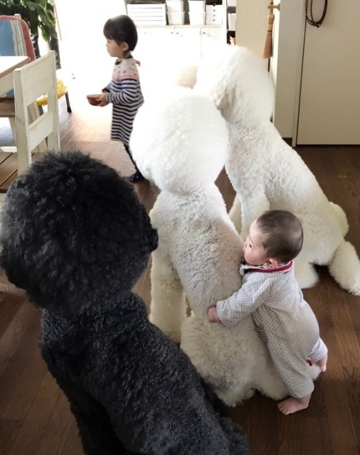 Ԃ̍猢ƂƂɉ߂ĂoE܂߂ƒEށ[ނ