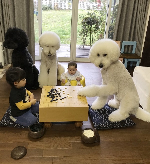 Ԃ̍猢ƂƂɉ߂ĂoE܂߂ƒEށ[ނ