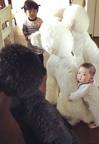 Ԃ̍猢ƂƂɉ߂ĂoE܂߂ƒEށ[ނ