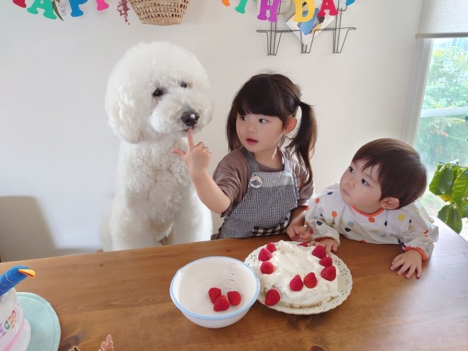 Ԃ̍猢ƂƂɉ߂ĂoE܂߂ƒEށ[ނ