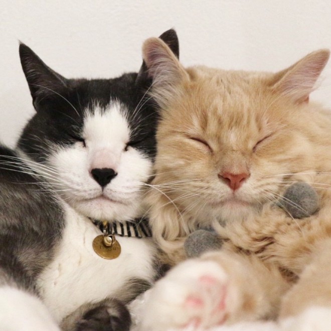 �~���ƃm�A