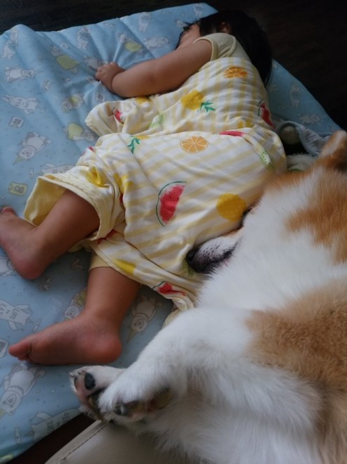 ������ƒ��ǂ������Q����Ƃ���