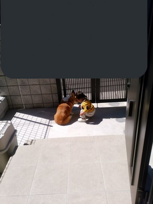 ������Ƃ�������R�[�����