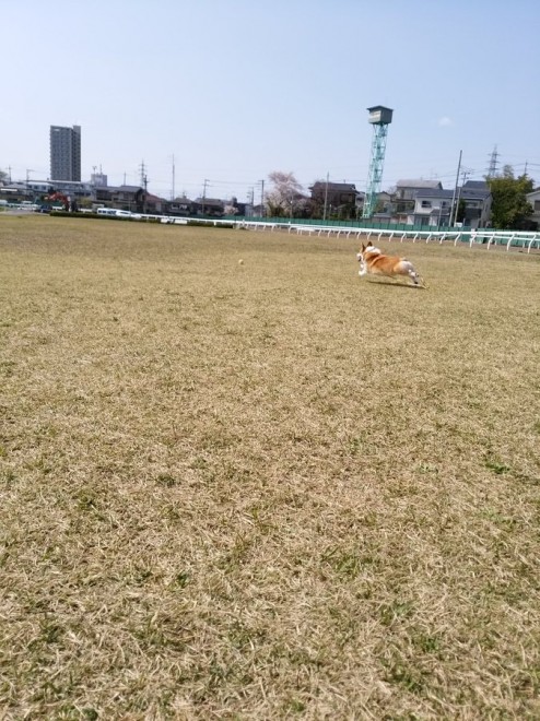 �т�[��Ƃ����܂��A�R�[�����