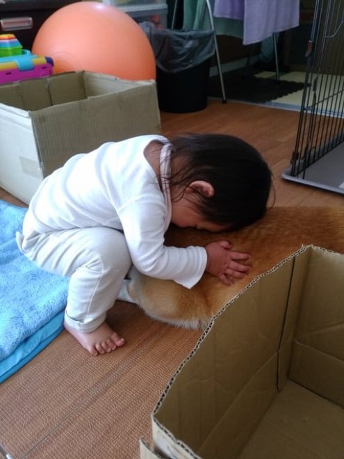 �R�[�����Ɛ������āA�H�p���h������h����D���ɂȂ��Ă��܂���������