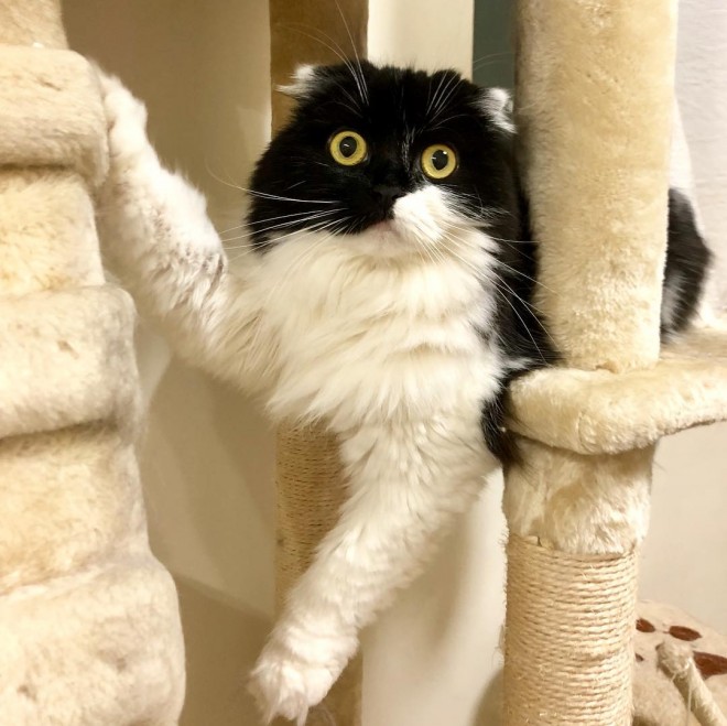 �������