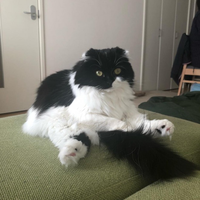 ���ʕ��t�F�C�X���L���[�g�Ȃ������