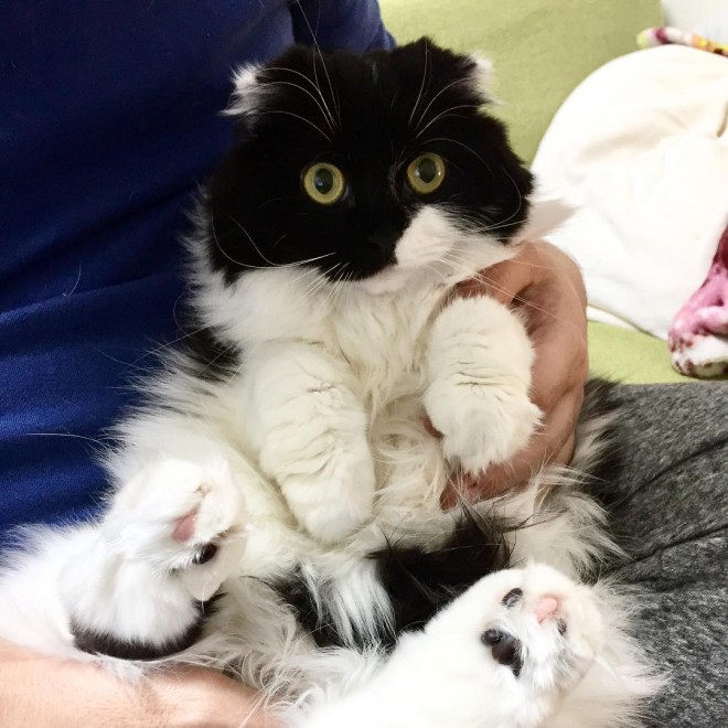 �������