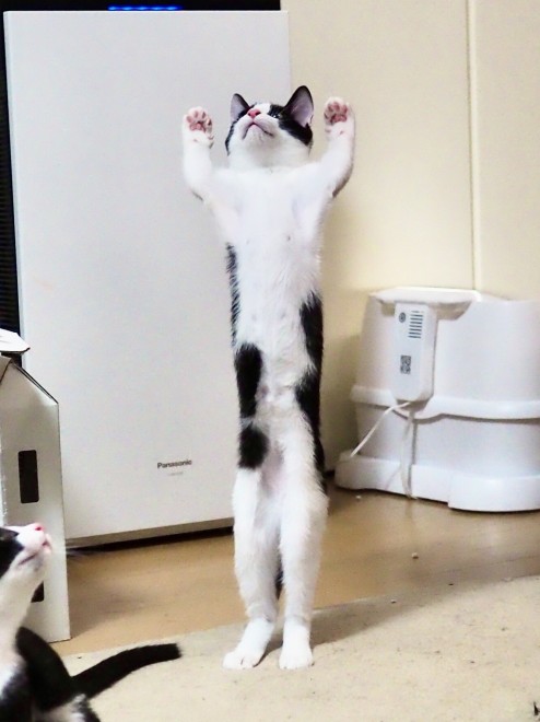 �����Ȃ������I