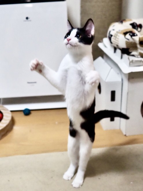 �����Ȃ������I