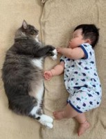 生まれた時から猫のエルモ・みみりんと一緒に生活してきた1歳の息子さん
