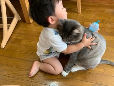 画像 写真 大切な家族の一員 愛猫 男の子仲良しフォトギャラリー2枚目 Eltha エルザ