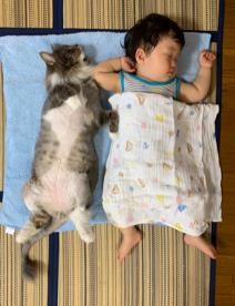 ܂ꂽL̃GE݂݂ƈꏏɐĂ1΂̑q