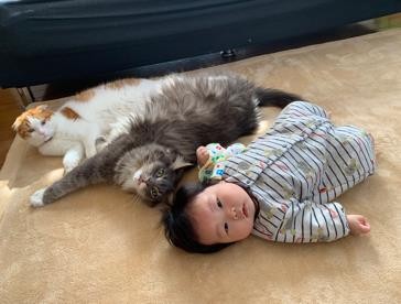 ܂ꂽL̃GE݂݂ƈꏏɐĂ1΂̑q