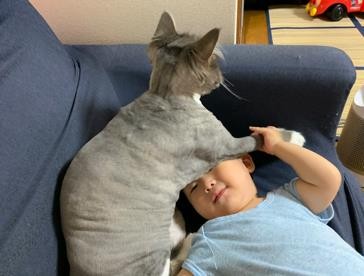 ܂ꂽL̃GE݂݂ƈꏏɐĂ1΂̑q