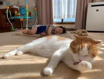 ܂ꂽL̃GE݂݂ƈꏏɐĂ1΂̑q