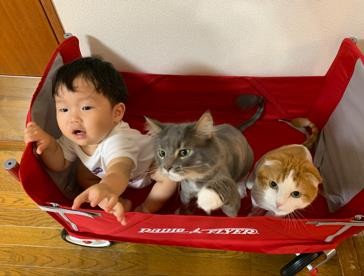 ܂ꂽL̃GE݂݂ƈꏏɐĂ1΂̑q