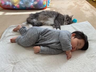 ܂ꂽL̃GE݂݂ƈꏏɐĂ1΂̑q