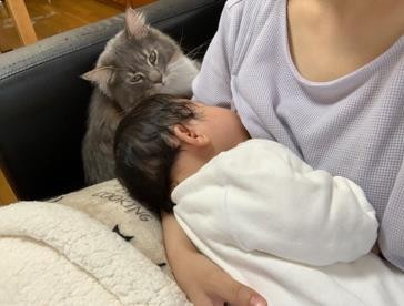 ܂ꂽL̃GE݂݂ƈꏏɐĂ1΂̑q