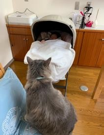 ܂ꂽL̃GE݂݂ƈꏏɐĂ1΂̑q