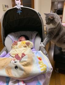 ܂ꂽL̃GE݂݂ƈꏏɐĂ1΂̑q