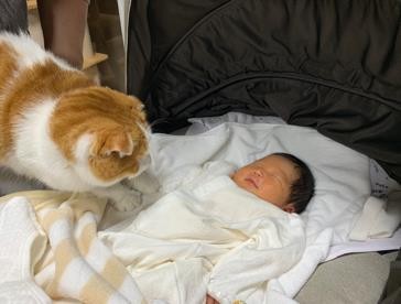 ܂ꂽL̃GE݂݂ƈꏏɐĂ1΂̑q