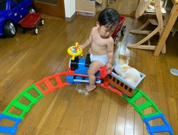 ܂ꂽL̃GE݂݂ƈꏏɐĂ1΂̑q