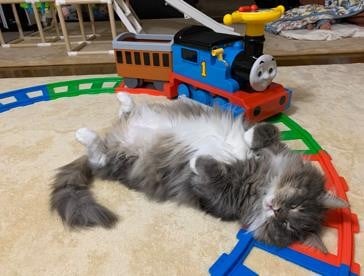 ܂ꂽL̃GE݂݂ƈꏏɐĂ1΂̑q