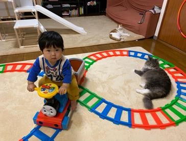 ܂ꂽL̃GE݂݂ƈꏏɐĂ1΂̑q