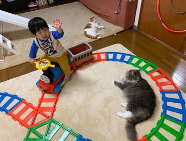 ܂ꂽL̃GE݂݂ƈꏏɐĂ1΂̑q