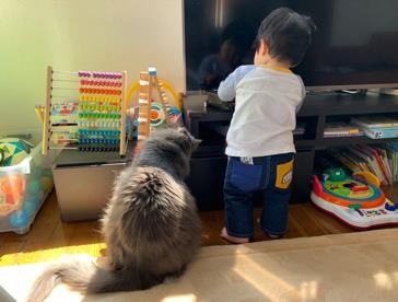 ܂ꂽL̃GE݂݂ƈꏏɐĂ1΂̑q