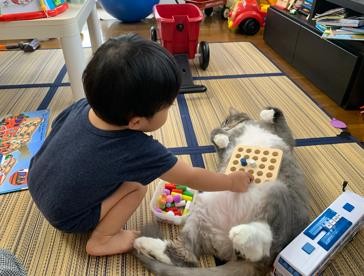 ܂ꂽL̃GE݂݂ƈꏏɐĂ1΂̑q