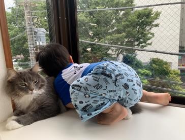 ܂ꂽL̃GE݂݂ƈꏏɐĂ1΂̑q