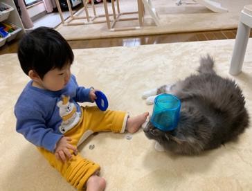 ܂ꂽL̃GE݂݂ƈꏏɐĂ1΂̑q