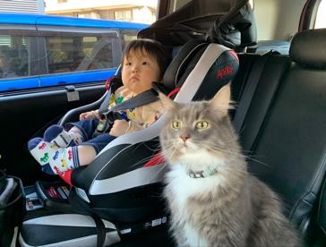 ܂ꂽL̃GE݂݂ƈꏏɐĂ1΂̑q