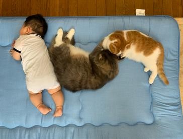 ܂ꂽL̃GE݂݂ƈꏏɐĂ1΂̑q