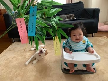 ܂ꂽL̃GE݂݂ƈꏏɐĂ1΂̑q