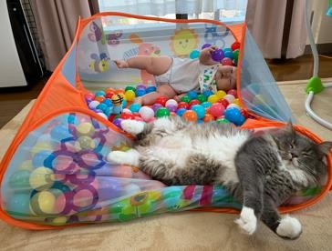 ܂ꂽL̃GE݂݂ƈꏏɐĂ1΂̑q