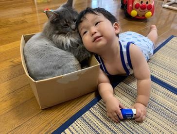 ܂ꂽL̃GE݂݂ƈꏏɐĂ1΂̑q