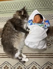 ܂ꂽL̃GE݂݂ƈꏏɐĂ1΂̑q