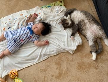 ܂ꂽL̃GE݂݂ƈꏏɐĂ1΂̑q