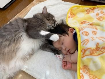 ܂ꂽL̃GE݂݂ƈꏏɐĂ1΂̑q