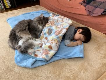 ܂ꂽL̃GE݂݂ƈꏏɐĂ1΂̑q