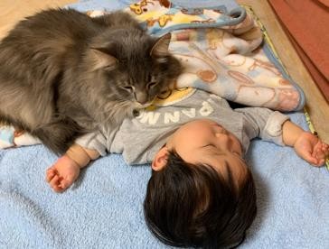 ܂ꂽL̃GE݂݂ƈꏏɐĂ1΂̑q