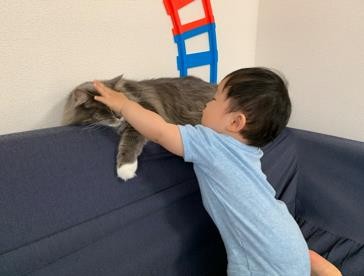 ܂ꂽL̃GE݂݂ƈꏏɐĂ1΂̑q