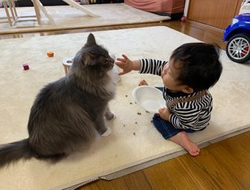 ܂ꂽL̃GE݂݂ƈꏏɐĂ1΂̑q