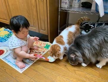 ܂ꂽL̃GE݂݂ƈꏏɐĂ1΂̑q